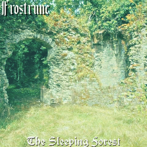Frostrune : The Sleeping Forest Frostrune : The Sleeping Forest